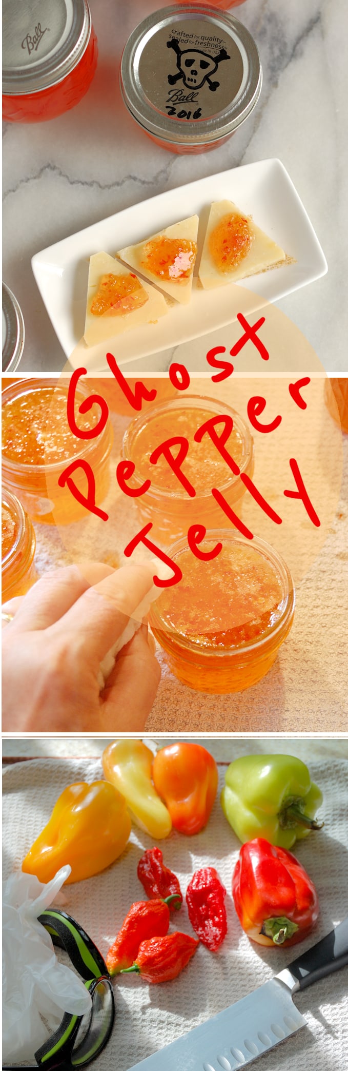 Ghost Pepper Jelly Bhut jolokia Jelly Baking Sense