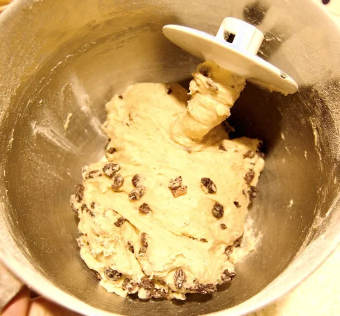 hot cross buns dough in a mixer bowl