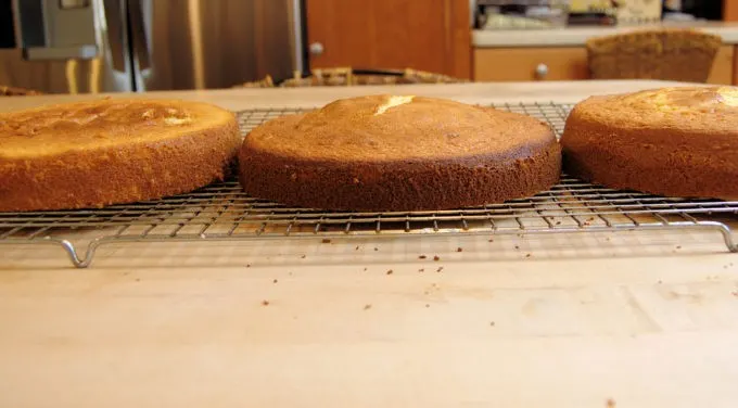 Three cake with the exact same ingredients, but different mixing methods. Three different outcomes for vanilla butter cake.