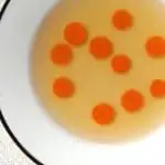 a bowl of Chicken Stock with carrots