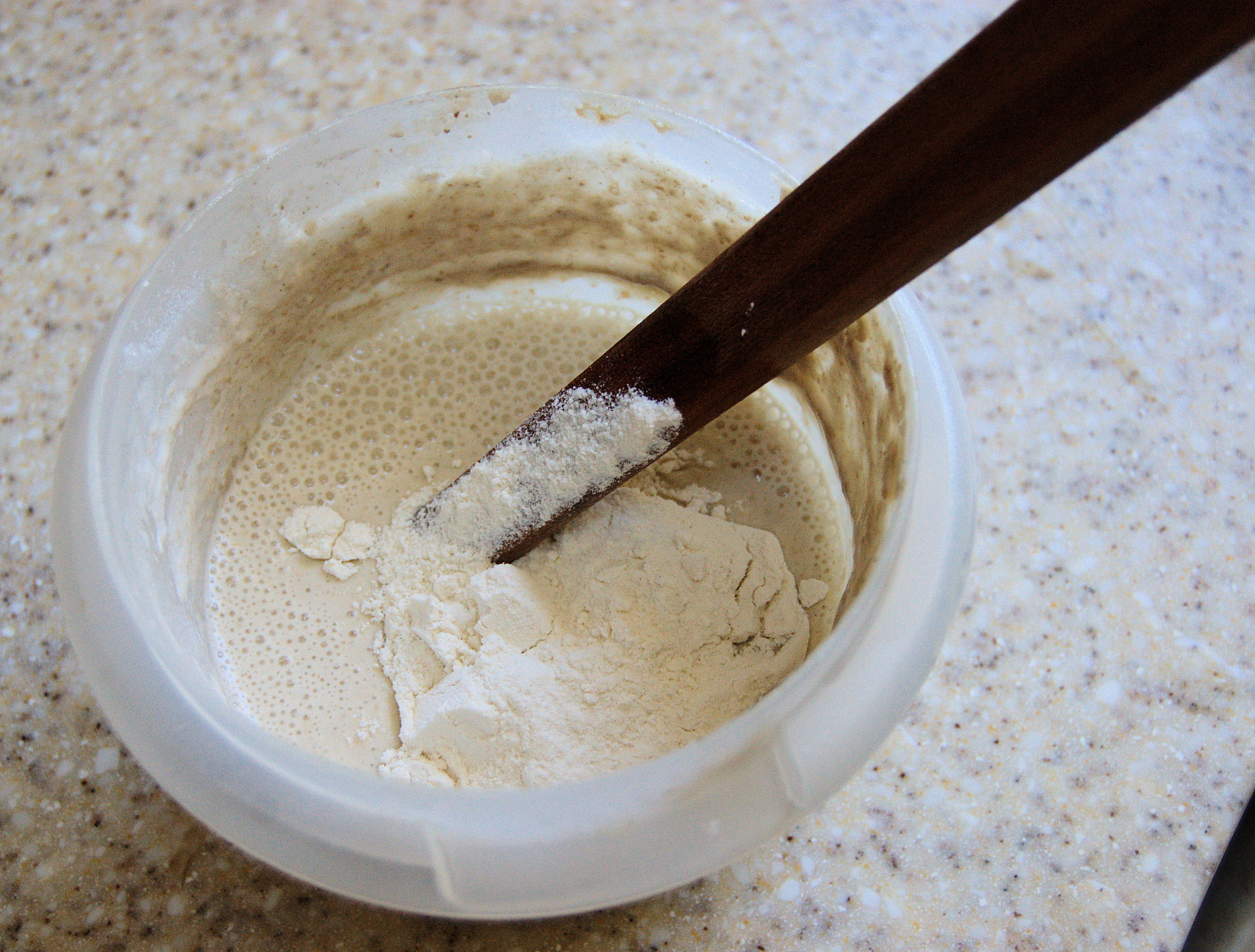 Baguette made from a Beer Mash Starter Baking Sense