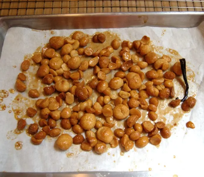 Baked macadamias on a tray