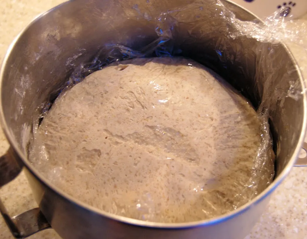 rye bread dough after a night in the refrigerator has risen to the top of the bowl