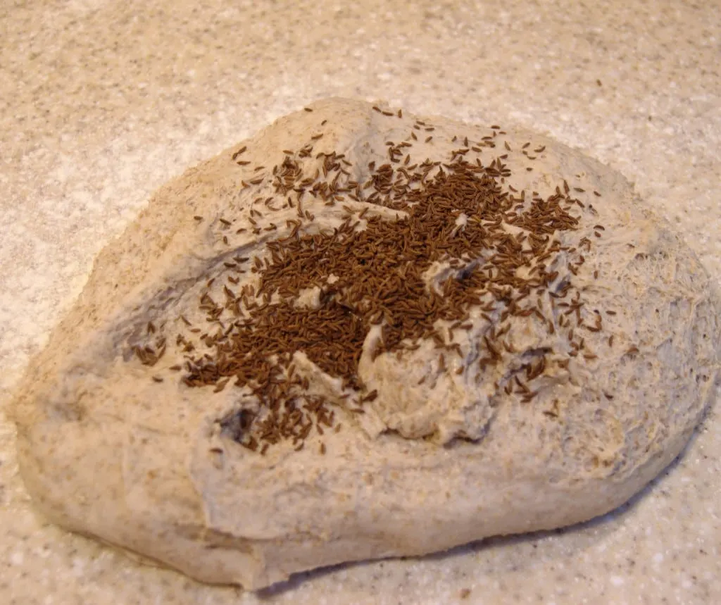 rye bread dough with caraway seeds on top.