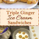 pinterest image for triple ginger ice cream sandwiches