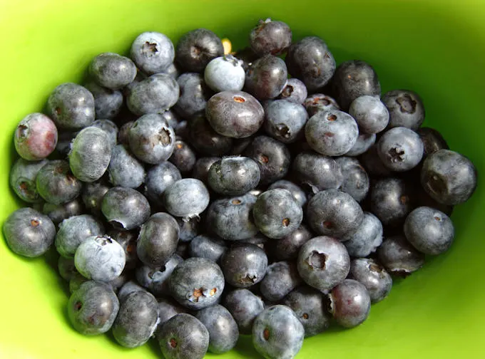 blueberry preserves