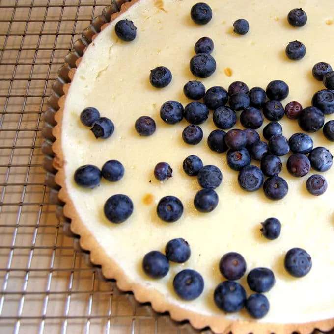 a blueberry cheesecake tart on a cooling rack