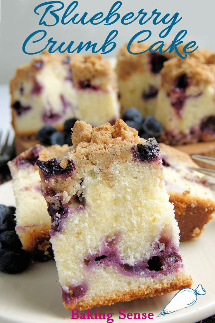 Blueberry Coffee Cake - Baking Sense®