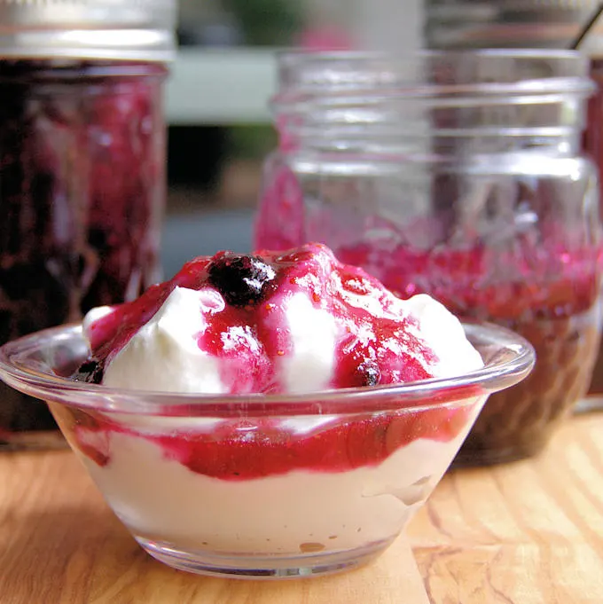blueberry preserves on greek yogurt