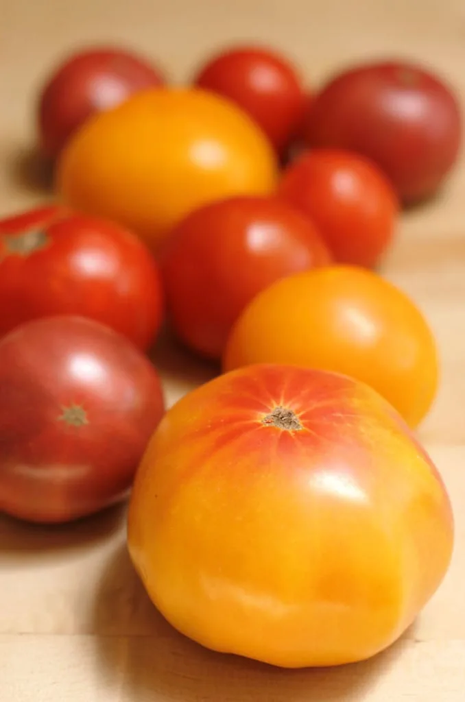 assorted heirloom tomatoes on a table