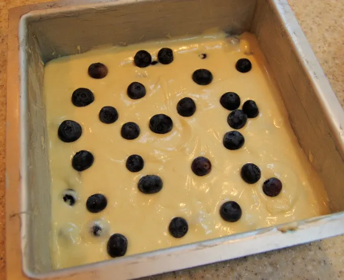 cake batter with blueberries in a square pan