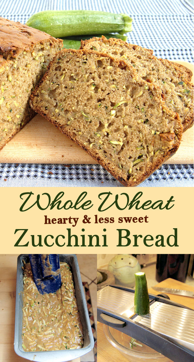 Can I Bake Zucchini Bread In A Cake Pan Can I Bake Zucchini Bread In A Cake Pan
