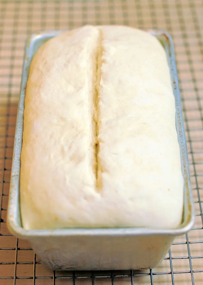 a proofed loaf of bread