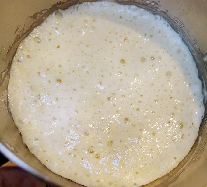 a bowl of bread sponge starter