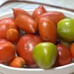 a bowl of heirloom tomatoes