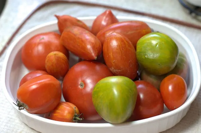 a bowl of heirloom tomatoes