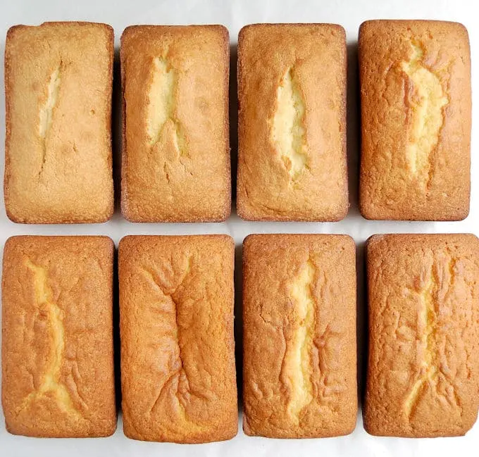 Eight pound cakes lined up on a white background
