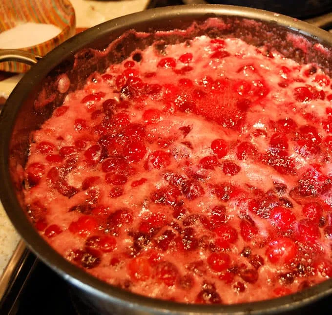 Once the cranberries start popping, simmer for 10 minutes. They'll foam up a bit.