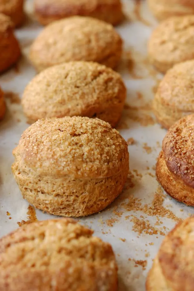 warm gingerbread scones