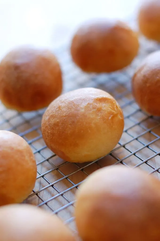 buttermilk dinner roll