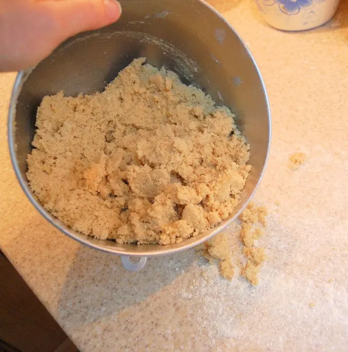 crumbly Tart Dough in a mixing bowl
