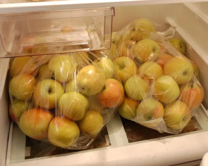 two large bags of gold rush apples in a refrigerator