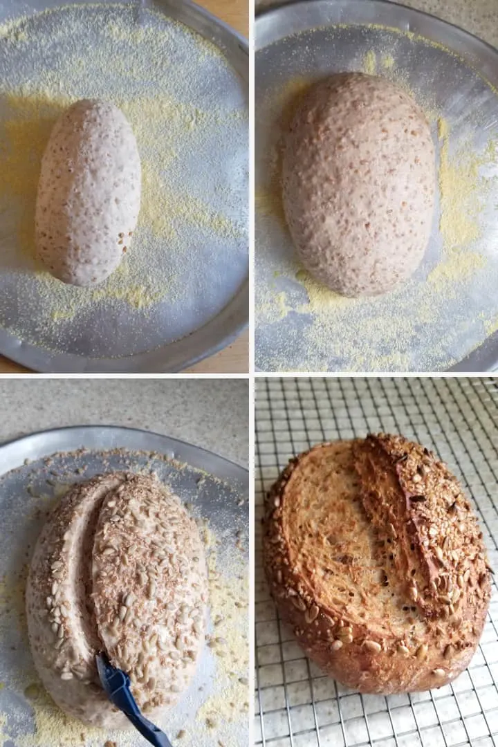 four photos showing cracked wheat bread from shaping, to rising to baking