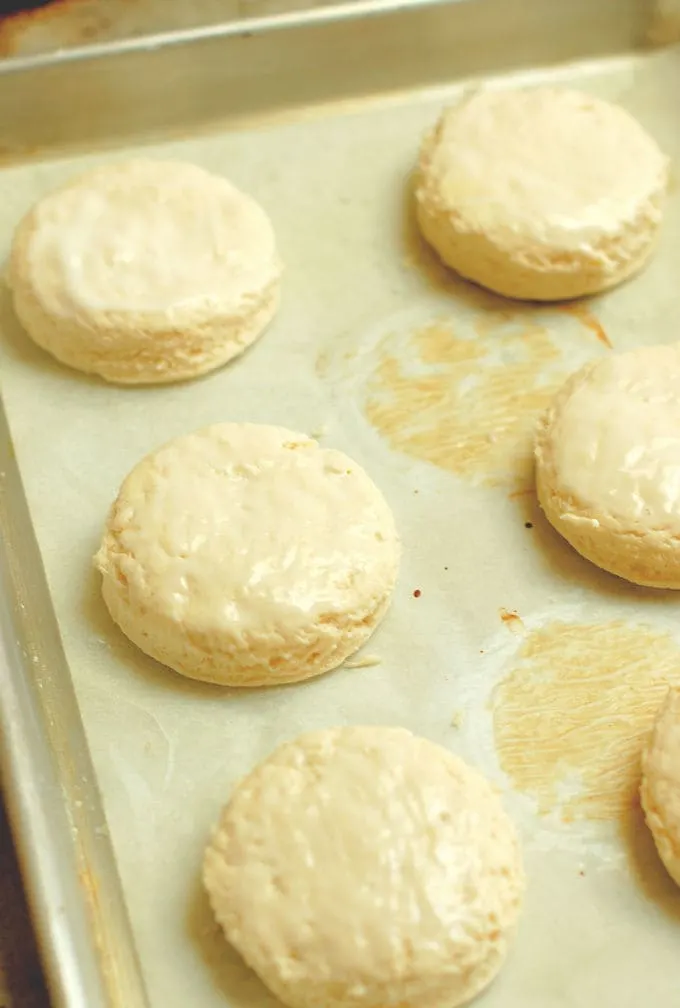 a tray of unbaked buttermilk biscuits