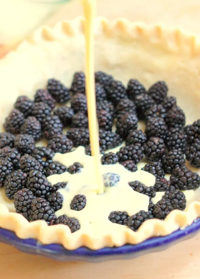 blackberries in a pie shell