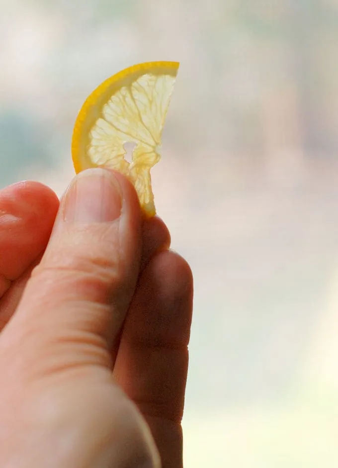 meyer lemon slice