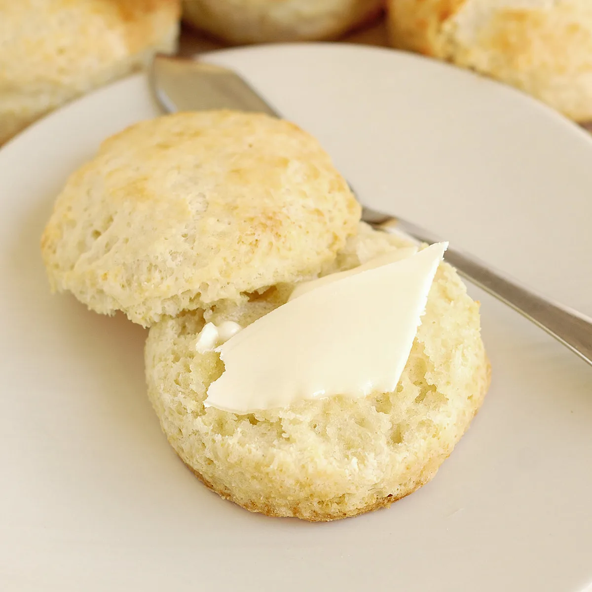 Fluffy & Flaky Buttermilk Biscuits
