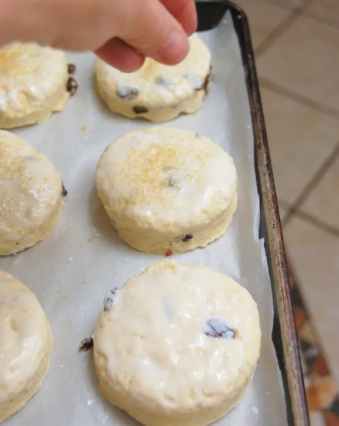 a tray of raisin scones ready for the oven. A hand is sprinkling sugar on top.