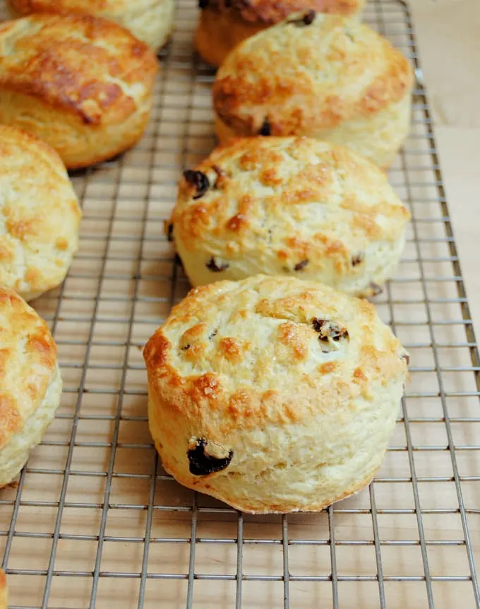 raisin scones cooling on a rack