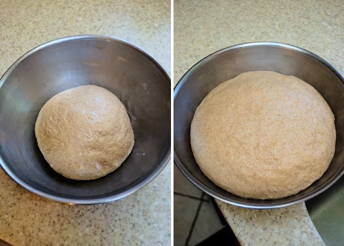 two side by side photos showing whole wheat bread dough before and after rising