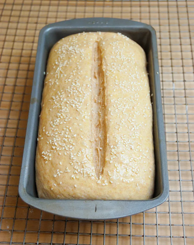 an unbaked loaf of whole wheat bread in a pan.