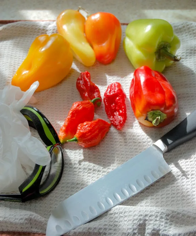 peppers, gloves a knife and goggles.