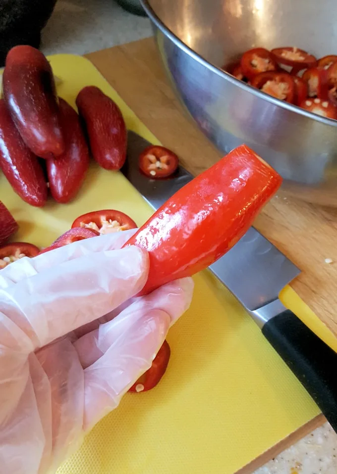 a hand holding a pepper