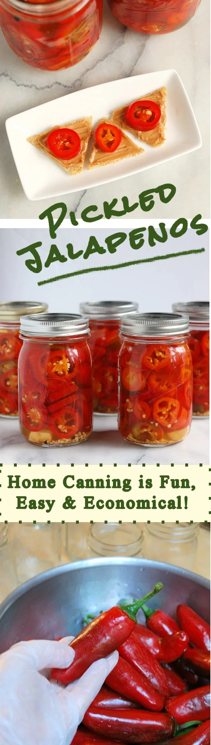 Save the taste of summer with home-canned Pickled Jalapeno peppers.