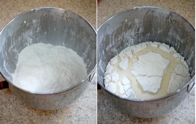 mashed potato craisin bread dough before and after activating the yeast