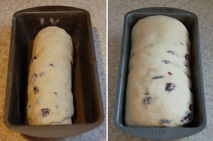 mashed potato craisin bread before and after proofing