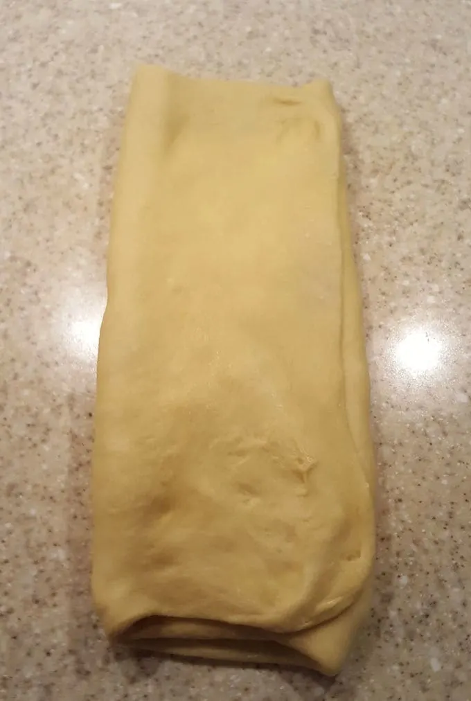brioche bun dough, first fold