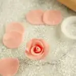 marzipan rose