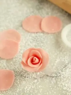 marzipan rose