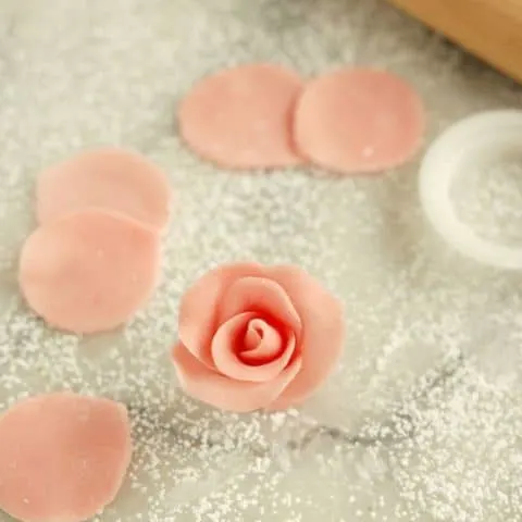 marzipan rose