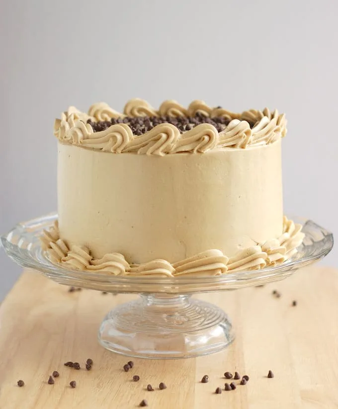 Gluten Free Chocolate Chip Angel Food Cake Gluten Free Chocolate Chip Angel Food Cake
