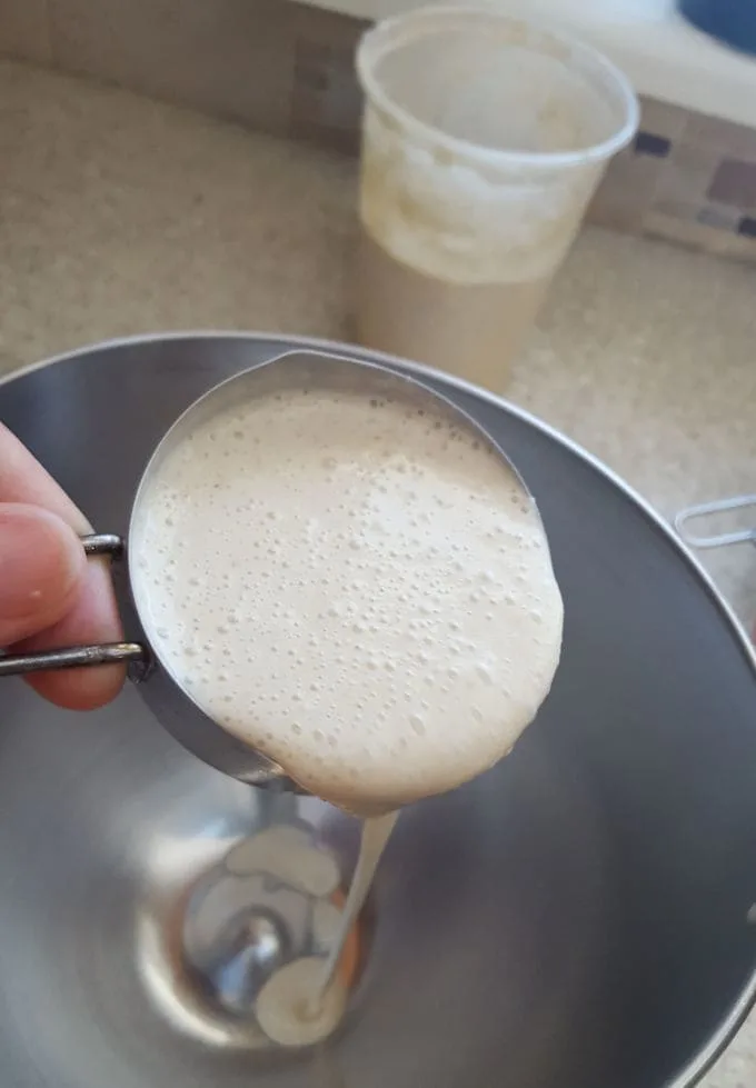 making sourdough crispbread