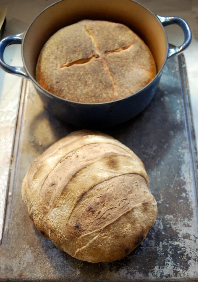 Sourdough breads