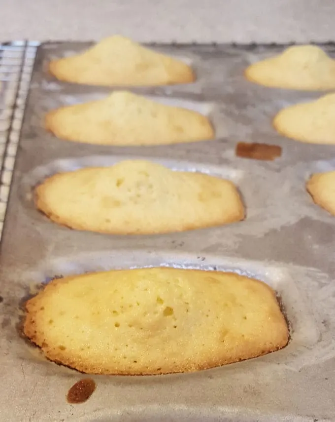 a closeup of a baked madeleine