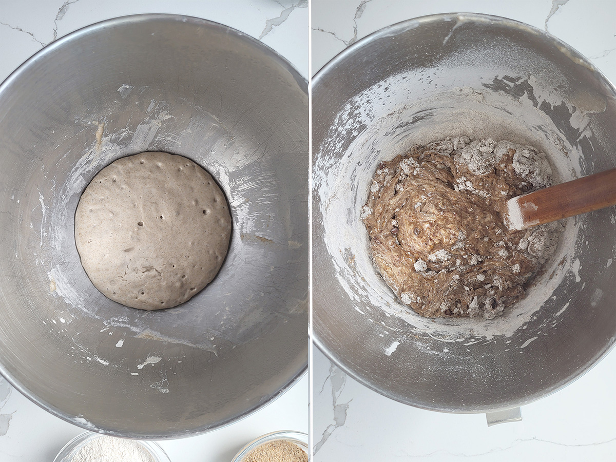 rye starter in a bowl. Rye starter with added ingredients in a bowl.