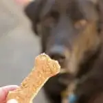 healthy dog biscuits